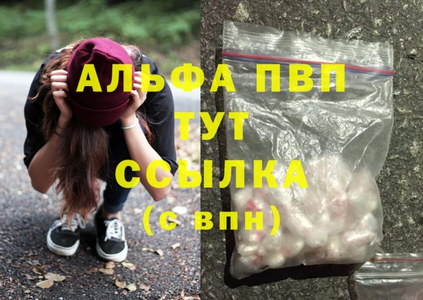дмт Горняк