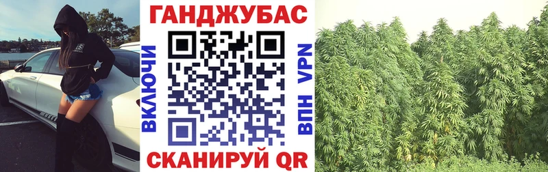 kraken зеркало  хочу наркоту  Злынка  Шишки марихуана семена 